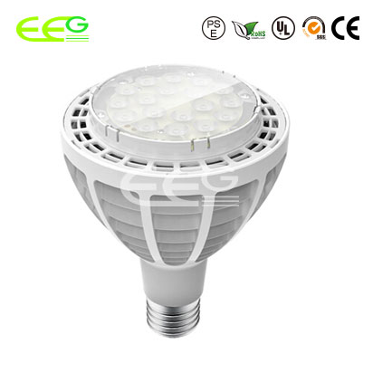 LED PAR30 30W