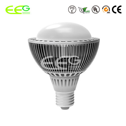 LED PAR38 15W